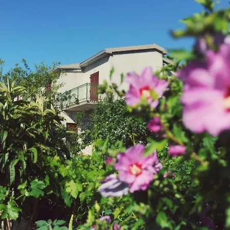 One Bedroom With Terrace