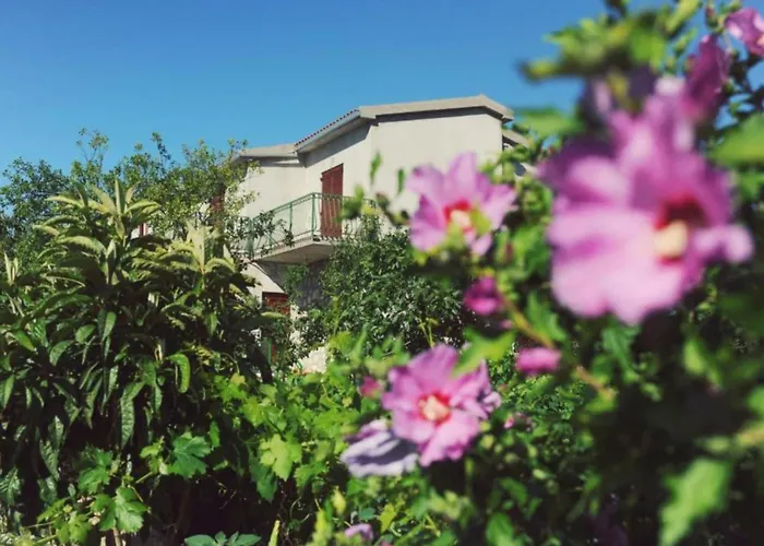 One Bedroom With Terrace